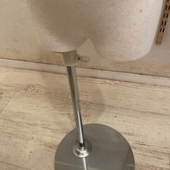 子供用トルソーの画像