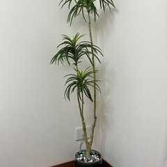 【差し上げます！】観葉植物(造花)