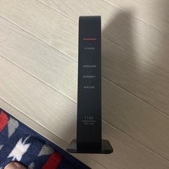 バッファロールーたーの画像