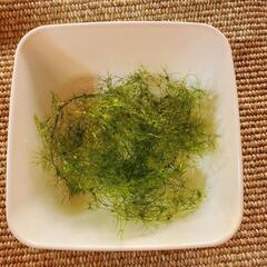 ニテラ