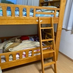 二段ベッド　差し上げますの画像