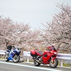 カップルライダー　仲間募集