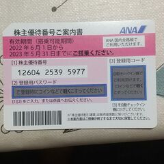 ANA優待券一枚