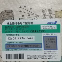 ANA優待券一枚です
