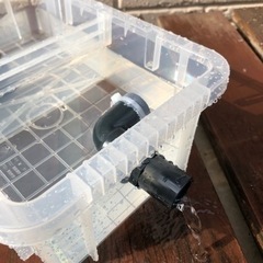 めだか飼育ケース　隔離　セパレートの画像