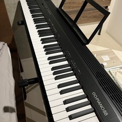 (3日間限定)Roland GO-88P(21年製)    おまけ ALESIS Q49 USB MIDIキーボード 