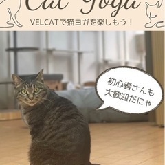 【満席】猫ヨガイベント参加者募集中