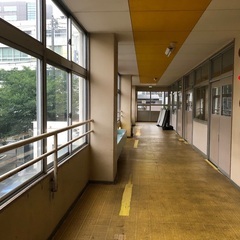 突き蹴り投げ寝技ありの総合格闘技・武道「空道」を静岡駅近くの「静岡西」での画像