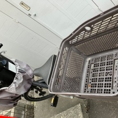 【お渡し者様決まりました。沢山のお問い合わせありがとうございまし...