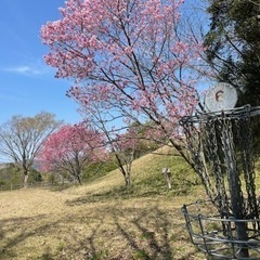ディスクゴルフ参加者募集