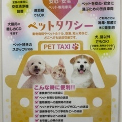 ☆広島市☆ペットタクシー！大切なご家族を安心、安全にお運び…