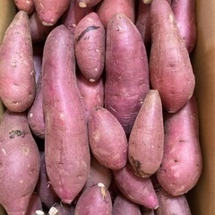 12  さつまいも　紅はるか　5キロ