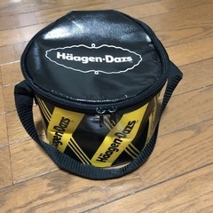 ミニクーラーバッグ（お弁当や缶飲料5〜6本位？）無料