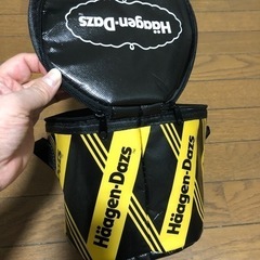 ミニクーラーバッグ（お弁当や缶飲料5〜6本位？）無料の画像