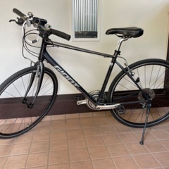 Giant Escape R3