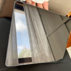 APPLE iPad Pro IPAD PRO WI-FI 256GB GRの画像