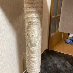 キャットタワーの画像
