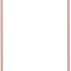 iFace iPhone SE (2022)  SE3世代 SE...