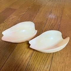 本物の貝のお皿とスプーンの画像