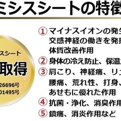 【未使用・新品】ホルミシス敷きパット「アンジェリカ」の画像