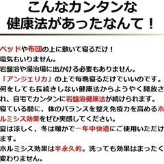 【未使用・新品】ホルミシス敷きパット「アンジェリカ」の画像