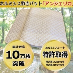 【未使用・新品】ホルミシス敷きパット「アンジェリカ」の画像