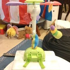 メリーの画像