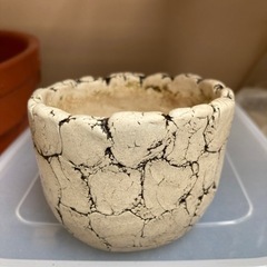 鉢セットの画像