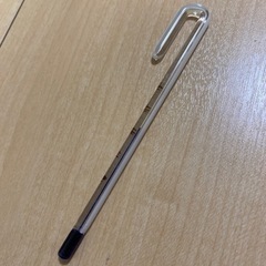 アクアリウム用温度計　ADA製(値下げ)の画像