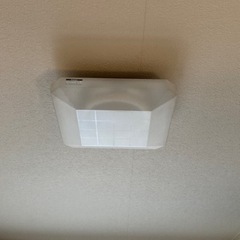 無料　天井照明　ライト付き
