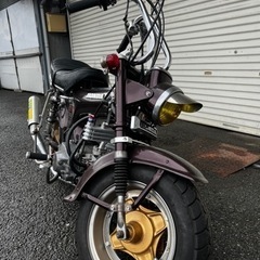 ダックス　Dax フレーム6桁レア