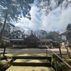 ご一緒に神社参拝しませんか？