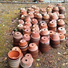 駄温鉢もらってくださいの画像