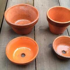 駄温鉢もらってください