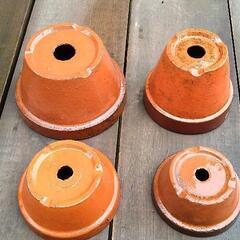 駄温鉢もらってくださいの画像