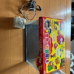水槽　sサイズ　金魚のお部屋