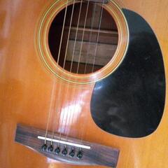 スズキ　バイオリン社フォークギターの画像