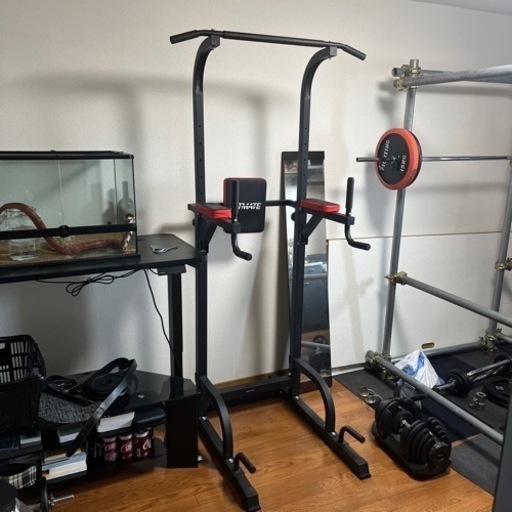 【引取限定】Fitmate 懸垂マシン　ぶら下がり　健康器具