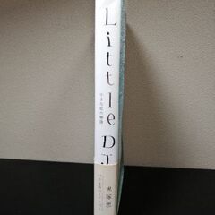 Little DJ : 小さな恋の物語の画像
