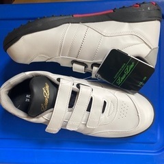 最終値下　安全靴 25.0EEE ローラインLOL-150 (1)