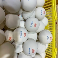 ５月おのテニ会（尾道ソフトテニスの会）2023 - 尾道市