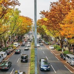 青山のウィメンズプラザで平日夜に開催！参加費500円の英会話勉強会！