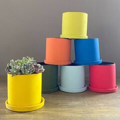 ５月５日(金)こどもの日☆こどもの日スペシャル企画！親子で楽しもう『多肉寄せ植えワークショップ』☆【花夢館神戸店】の画像