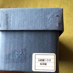 金泉黄ララ　肥前　五紋様うさぎ　仙茶揃　未使用美品の画像