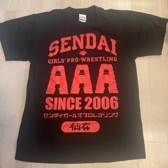 仙台ガールズ、プロレス　直筆サイン入Tシャツ&タオルの画像