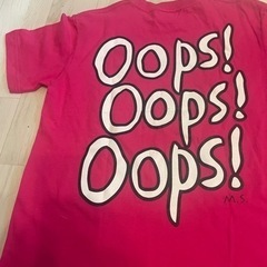 仙台ガールズ、プロレス　直筆サイン入Tシャツ&タオルの画像