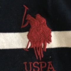 ポロシャツ　の画像