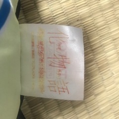 化物語クッションの画像
