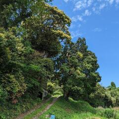 薪が必要な方に差し上げたいです！現場は油比です。