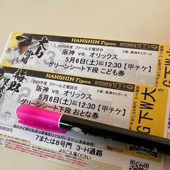 阪神タイガース VS オリックス　二軍　甲子園　グリーンシート下...